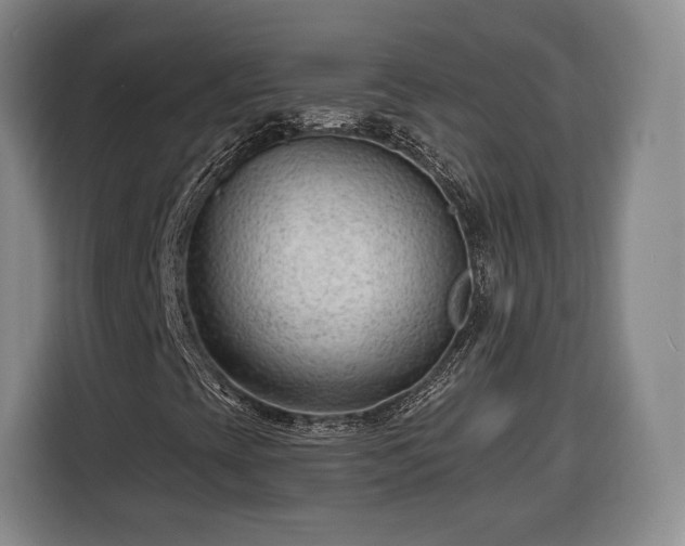 X0000116341393200912091100