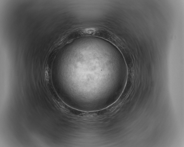 X0000116341394200912091100