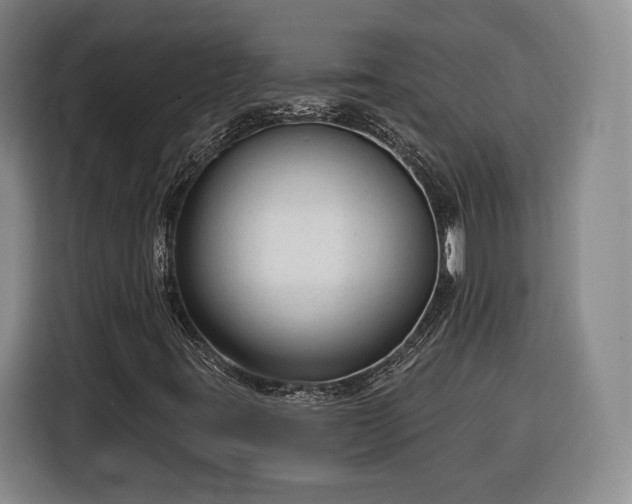 X0000116341395200912091100