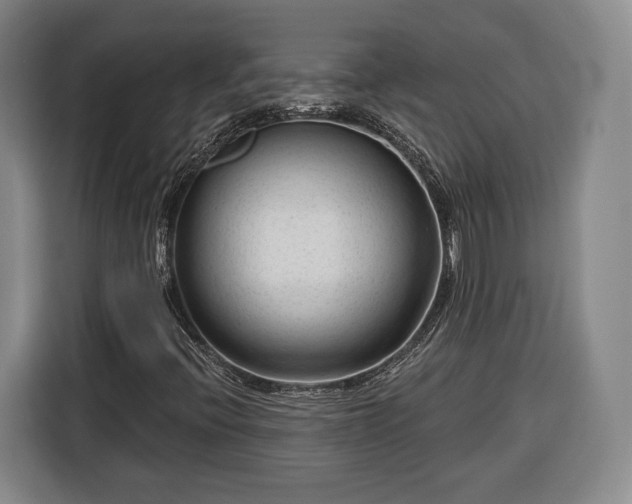 X0000116341396200912091100