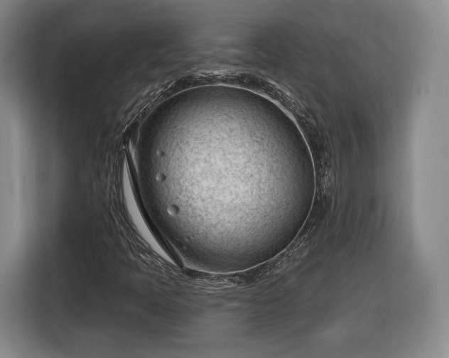 X0000116341397200912091100