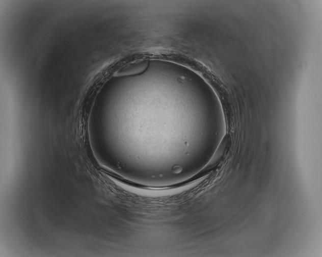 X0000116341398200912091100