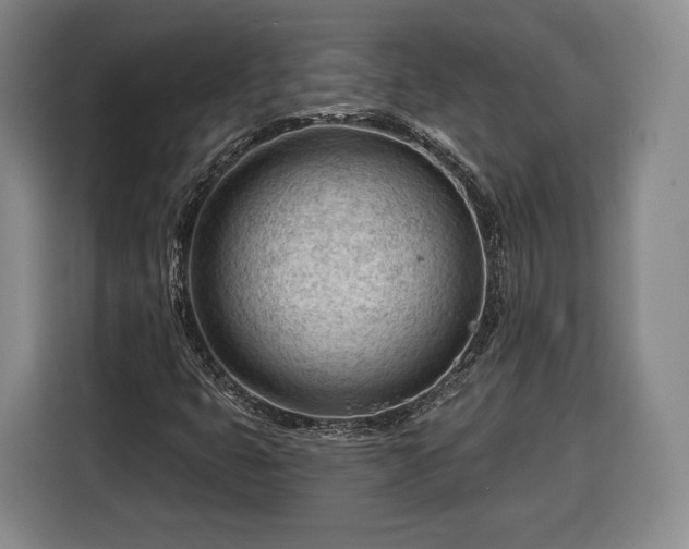 X0000116341399200912091100