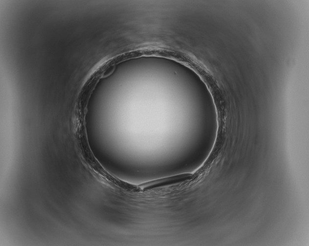 X0000116341400200912091100