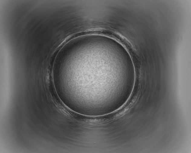 X0000116341401200912091100