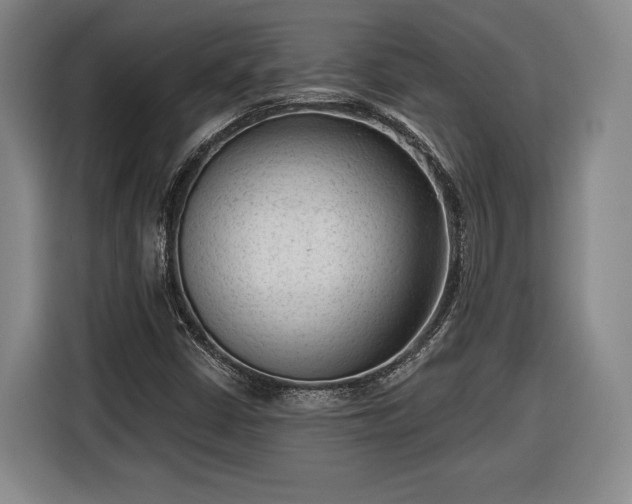 X0000116341402200912091100