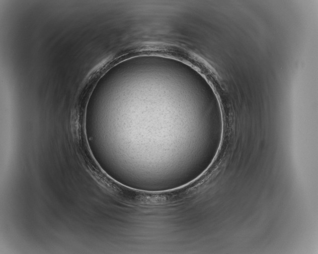 X0000116341403200912091100