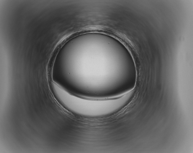 X0000116341404200912091100