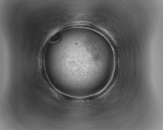 X0000116341405200912091100