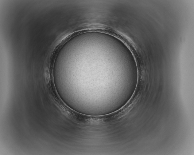 X0000116341407200912091100