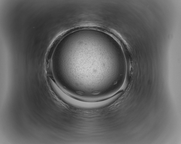 X0000116341408200912091100