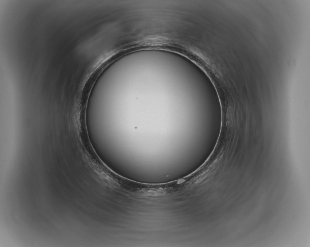 X0000116341410200912091100