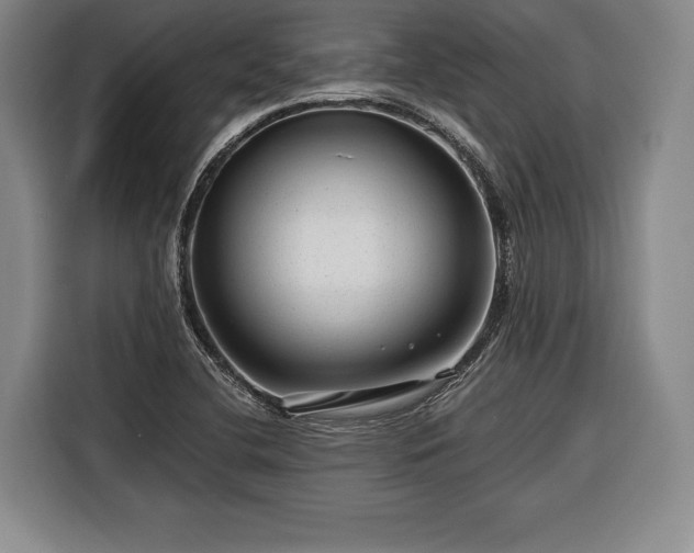 X0000116341412200912091100