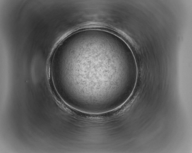 X0000116341413200912091100