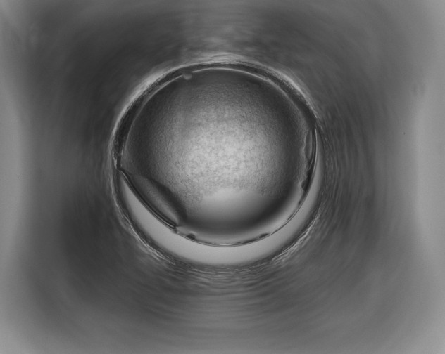 X0000116341414200912091100