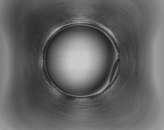 X0000116341415200912091100