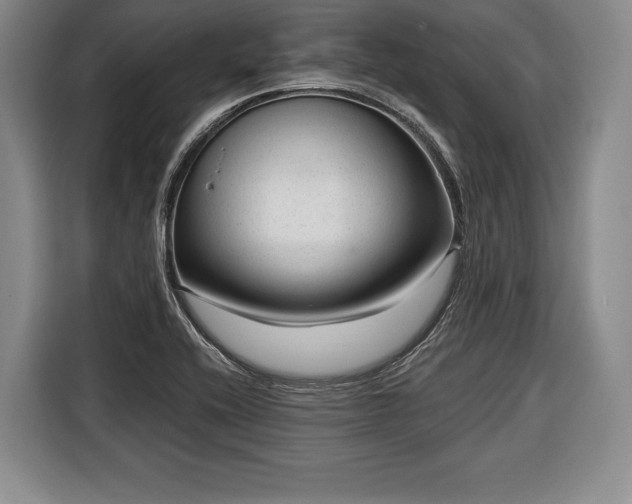 X0000116341416200912091100