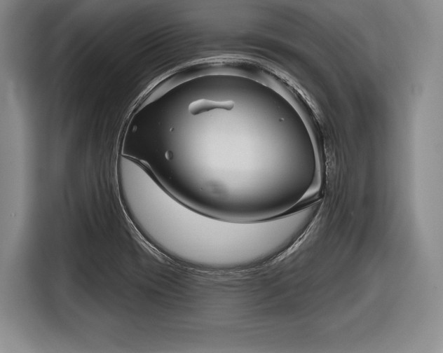 X0000116341417200912091100