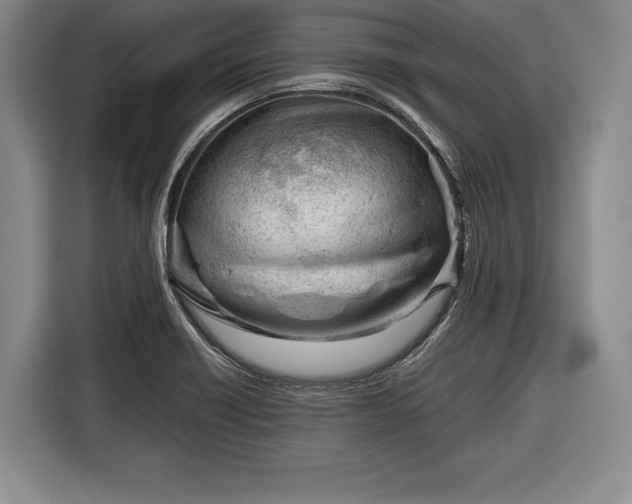 X0000116341418200912091100