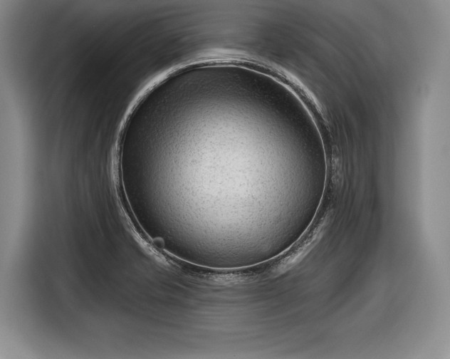 X0000116341421200912091100