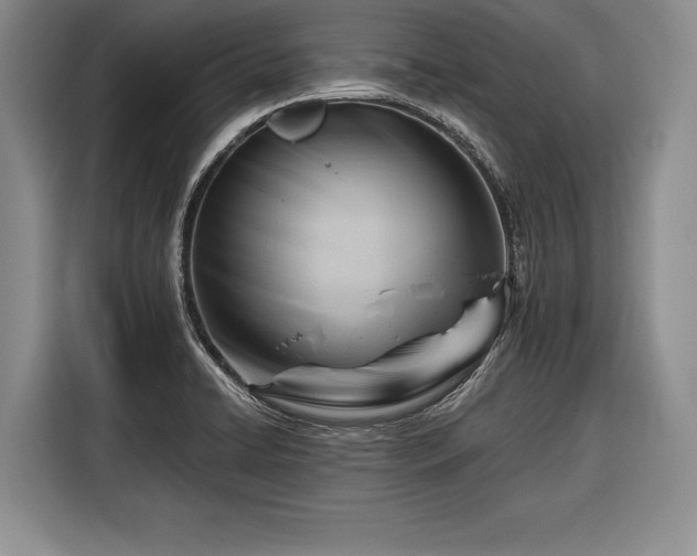 X0000116341422200912091100