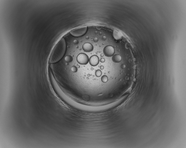 X0000116341423200912091100