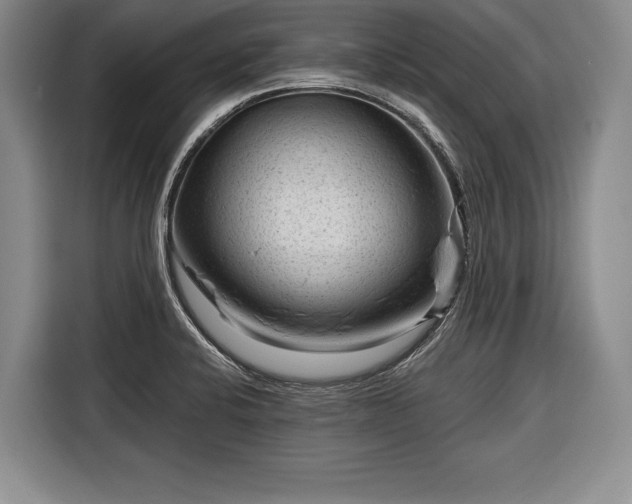 X0000116341424200912091100