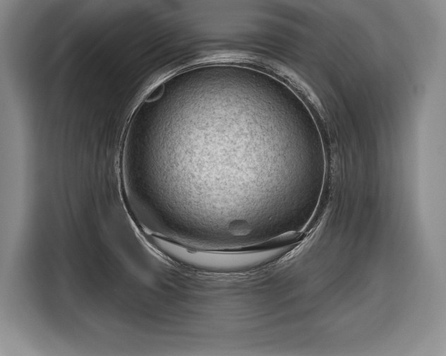 X0000116341425200912091100