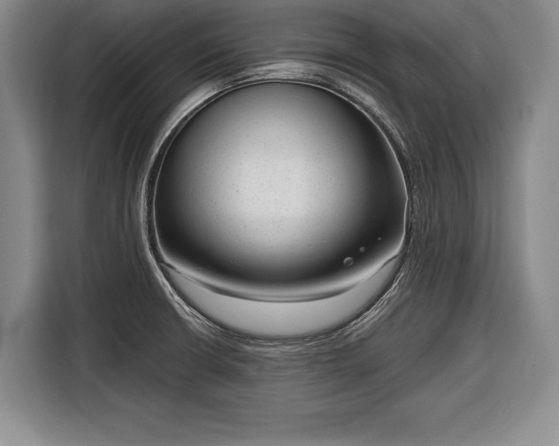 X0000116341426200912091100