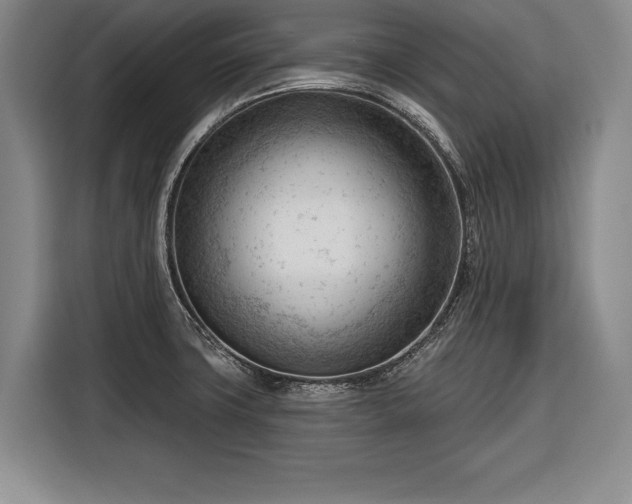 X0000116341427200912091100