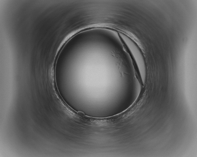 X0000116341428200912091100