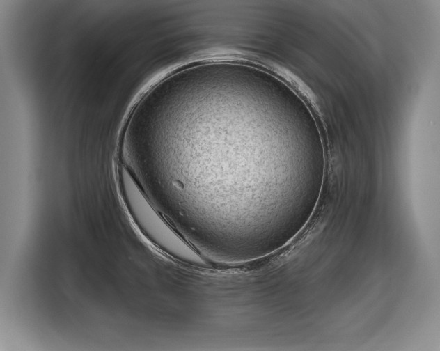 X0000116341429200912091100