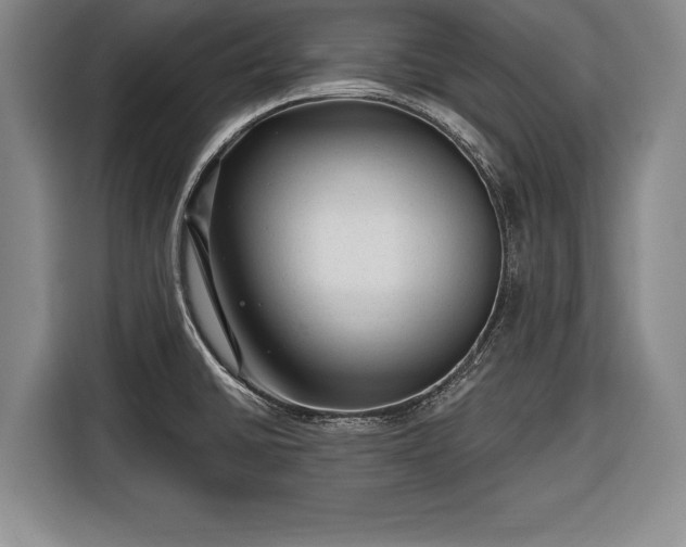 X0000116341430200912091100