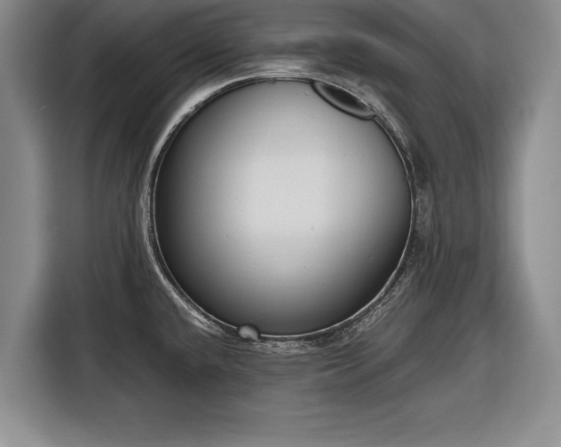 X0000116341432200912091100