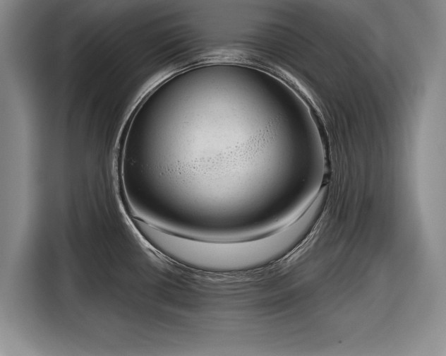 X0000116341434200912091101