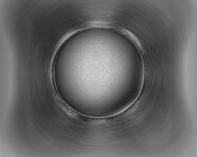 X0000116341435200912091101