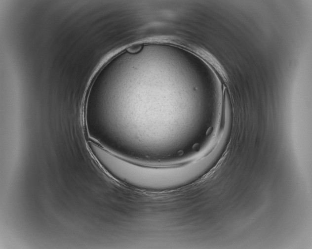 X0000116341436200912091101