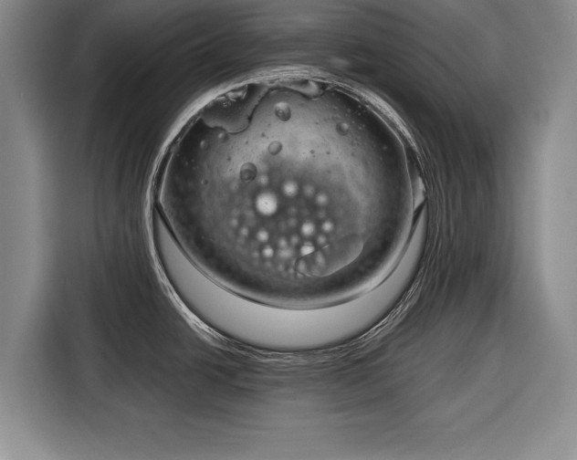 X0000116341438200912091101