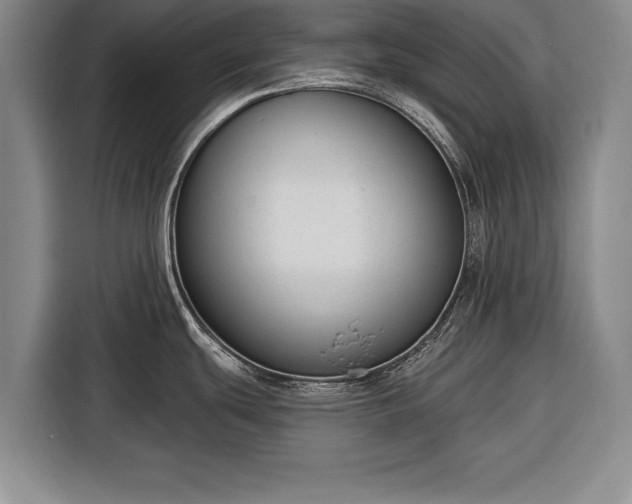 X0000116341439200912091101