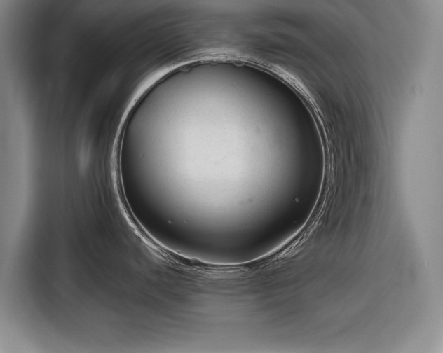 X0000116341440200912091101