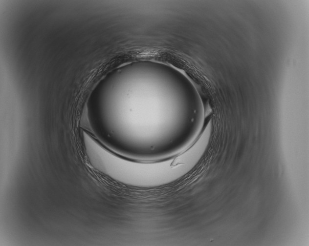 X0000116341441200912091100