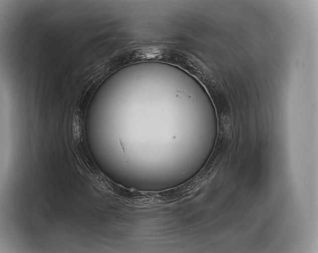 X0000116341442200912091100