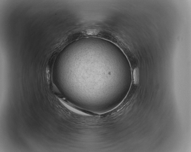 X0000116341443200912091100