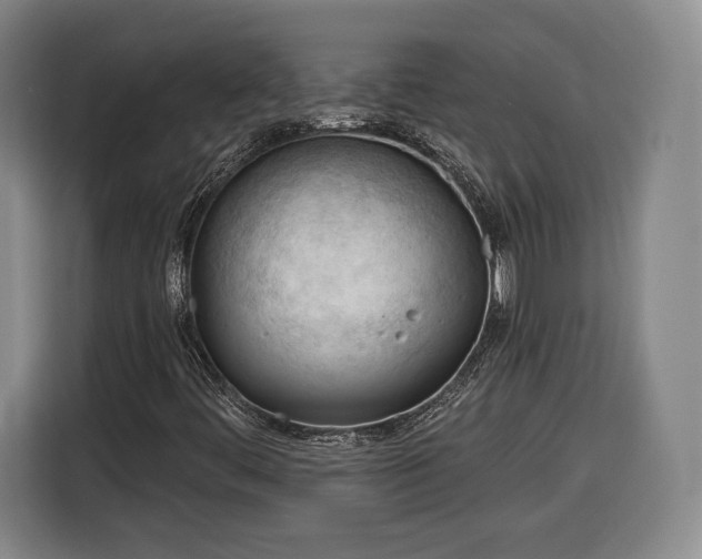 X0000116341444200912091100