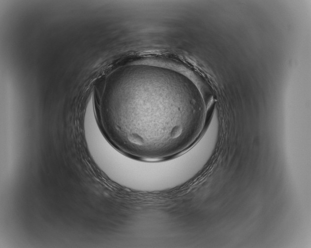 X0000116341445200912091100