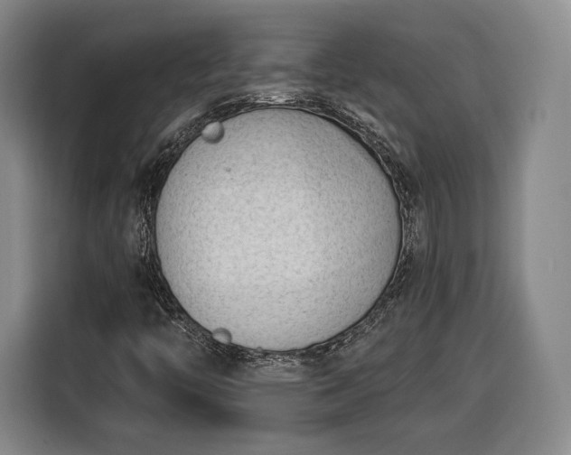 X0000116341446200912091100