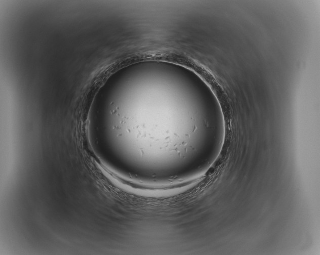 X0000116341447200912091100