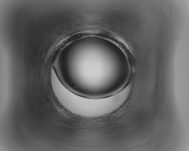 X0000116341448200912091100