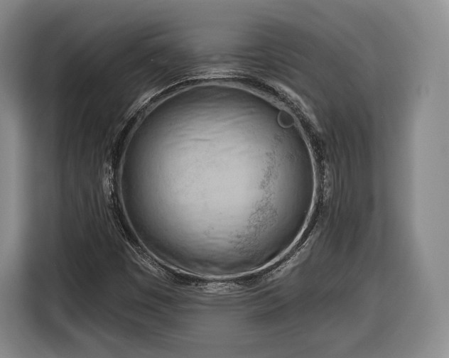 X0000116341449200912091100