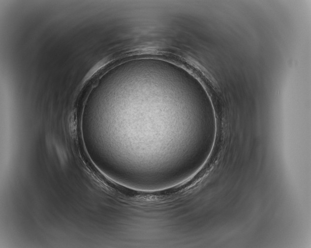 X0000116341450200912091100